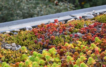 the cost of Southease green roof installation